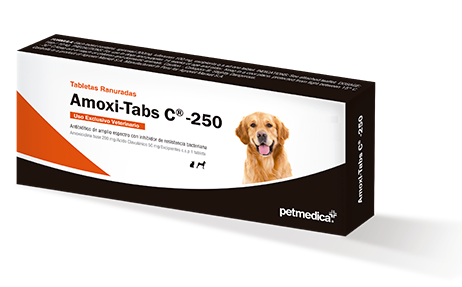 Amoxi Tabs C 250 (10 Tabletas)